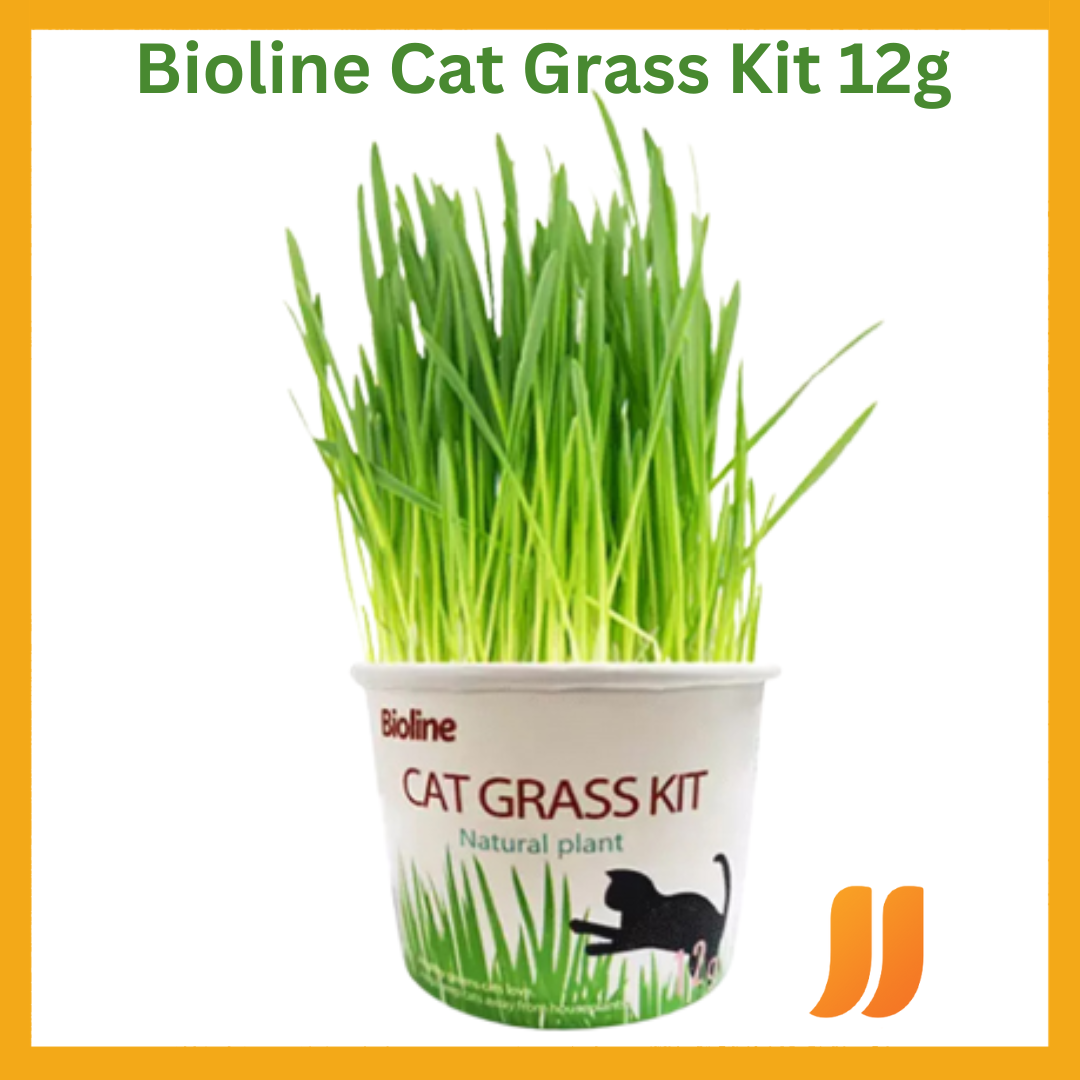 Cat grass kit clearance bioline